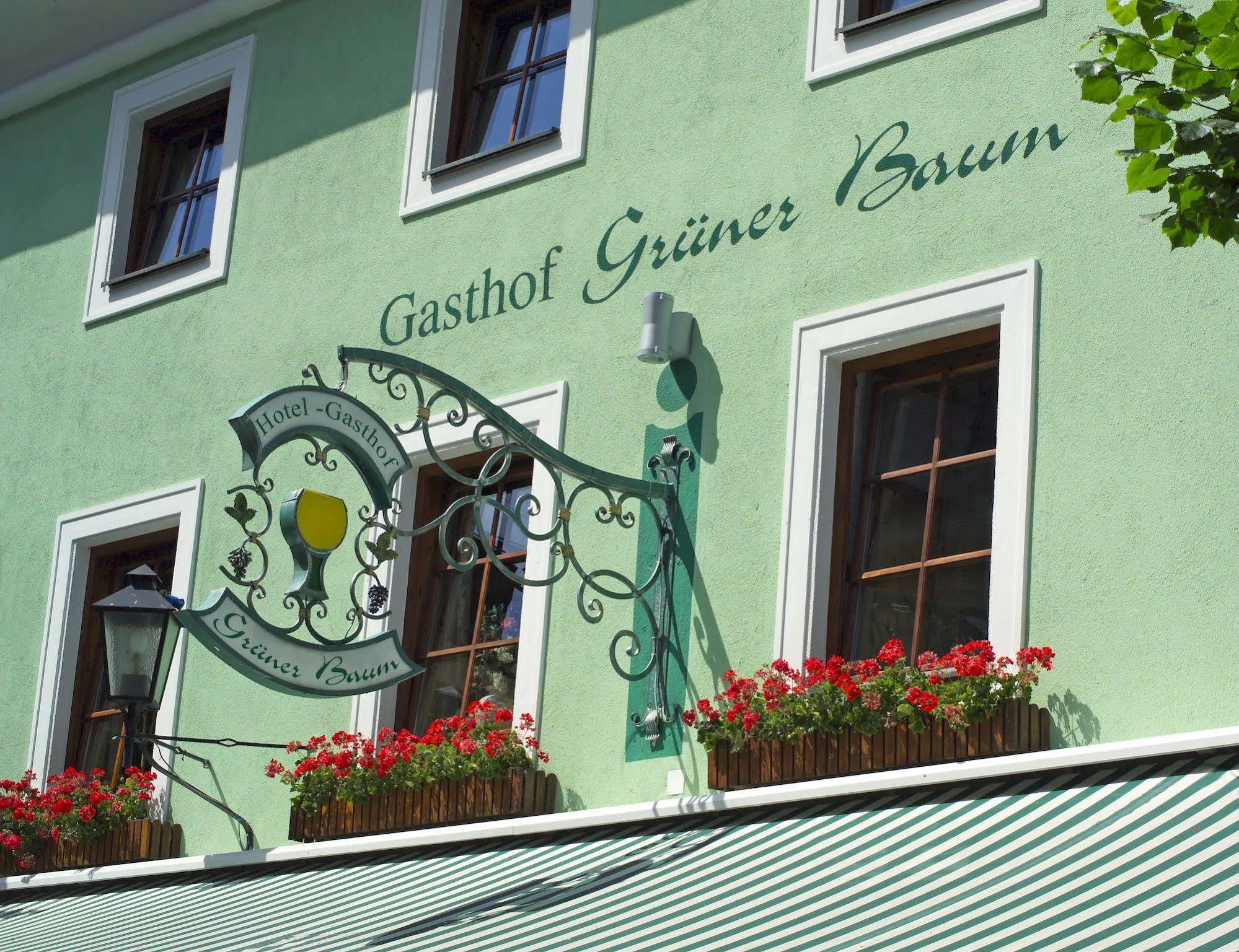 Hotel Gruener Baum Zell am See Bagian luar foto